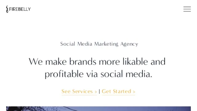Firebelly Marketing website screenshot