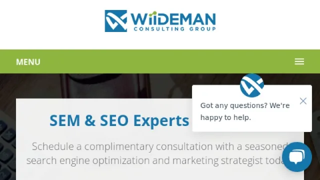 Wiideman website screenshot